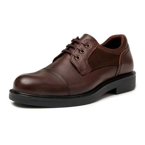 Полуботинки мужские Alessio Nesca TR-BK-2527A коричневые 41 RU в Wildberries