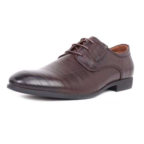 Туфли мужские T.Taccardi 03406360 коричневые 45 RU в Wildberries