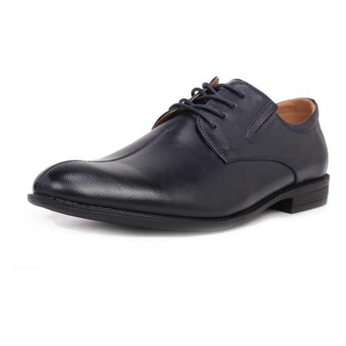 Туфли мужские T.Taccardi 710017996 синие 40 RU в Wildberries