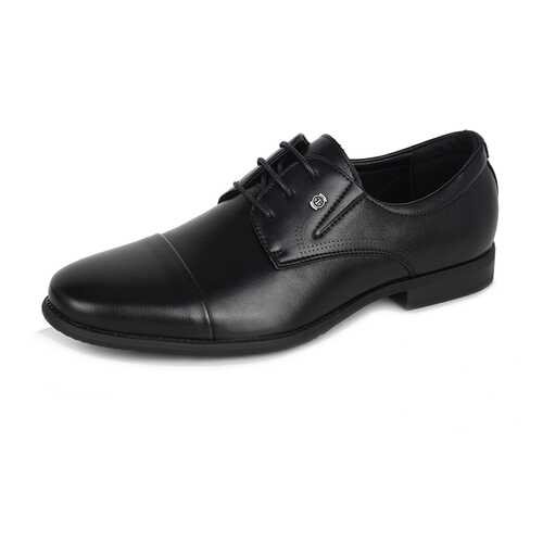 Туфли мужские T.Taccardi FM20AW-53 черные 42 RU в Wildberries