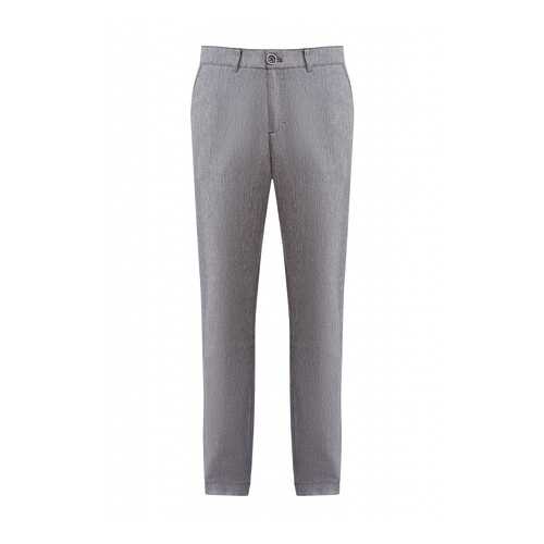 Брюки мужские Finn Flare S20-22013 серые S в Wildberries